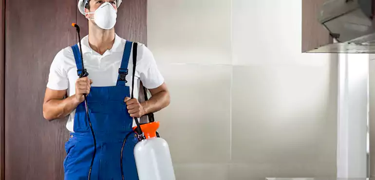 Why Box Elder Homeowners Choose Us When Pests Make Selling Difficult